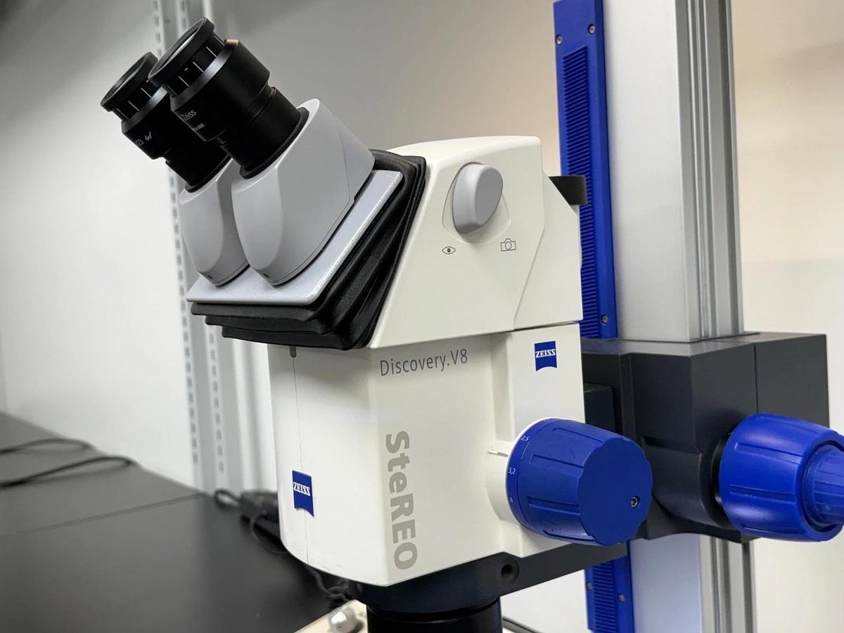 Used Zeiss SteREO Discovery.V8 Microscope Plan S 1.0x PL 10x/23 | 8x-63x Zoom Stand