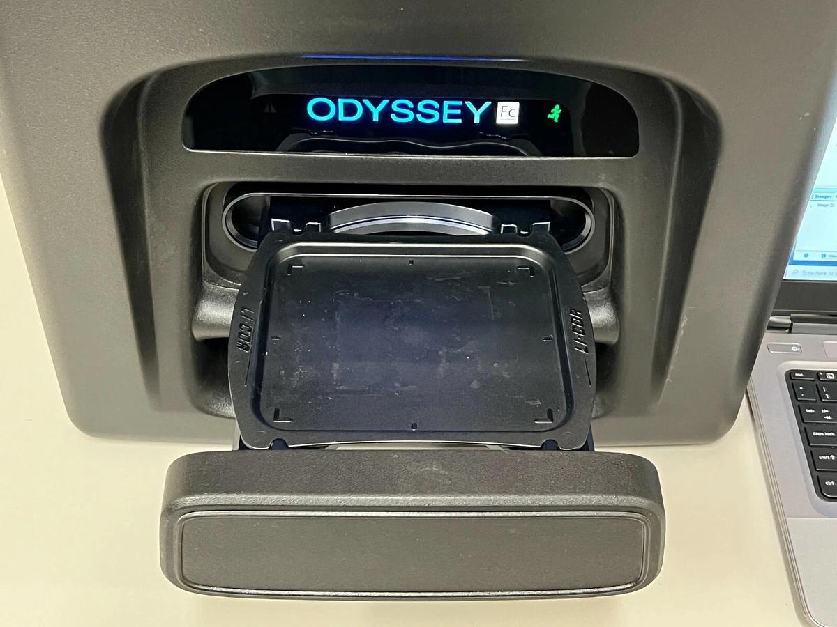Used LI-COR Odyssey FC dual-mode Western blot Imaging System 700/800/Chemi