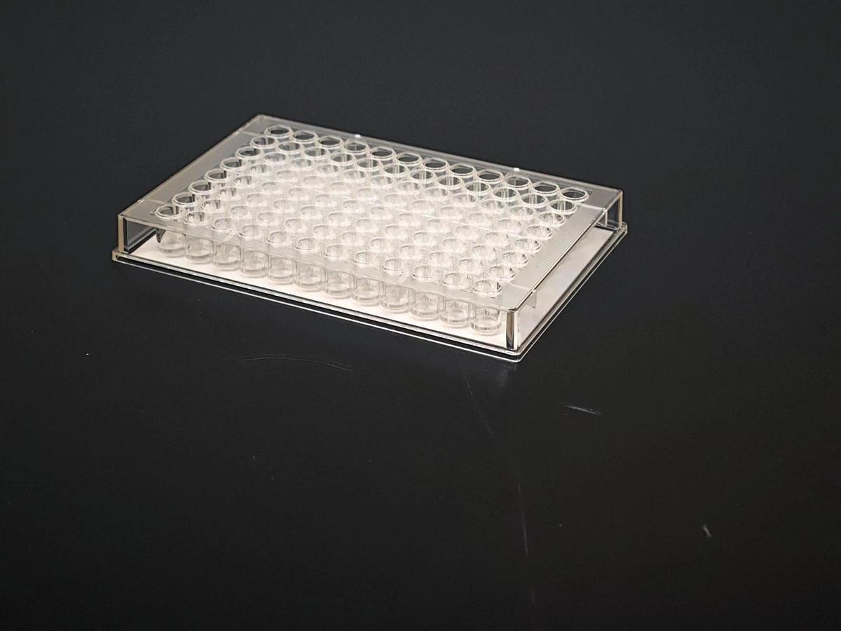 Used 2 Boxes of 50ea - Thermo Immulon 2HB 96-Well Flat Bottom Microtiter Plates