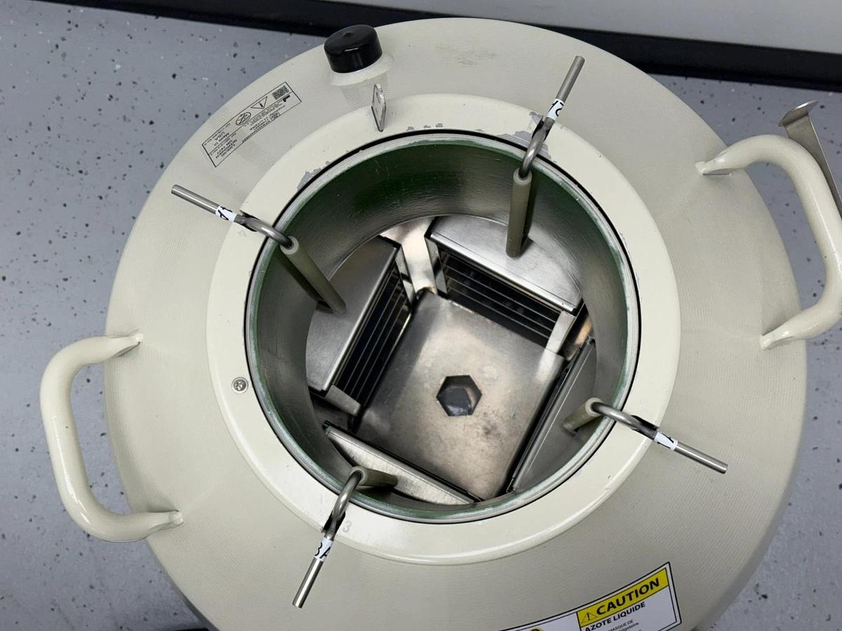 Used CBS Cryosytems Classic 2002 | Cryopreservation Cryogenic Storage Tank System