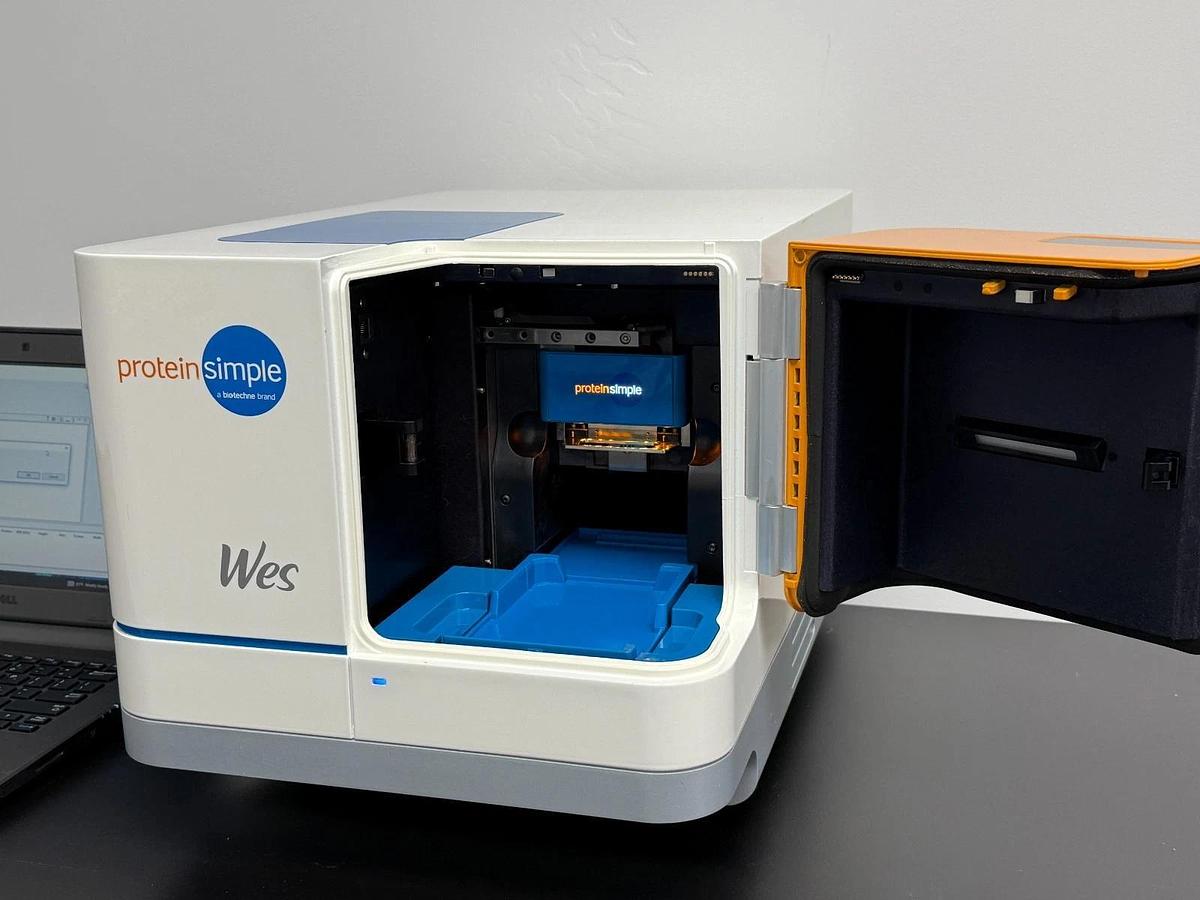 Used ProteinSimple Wes Automated Western Blot System | 25-Capillary Immunoassay