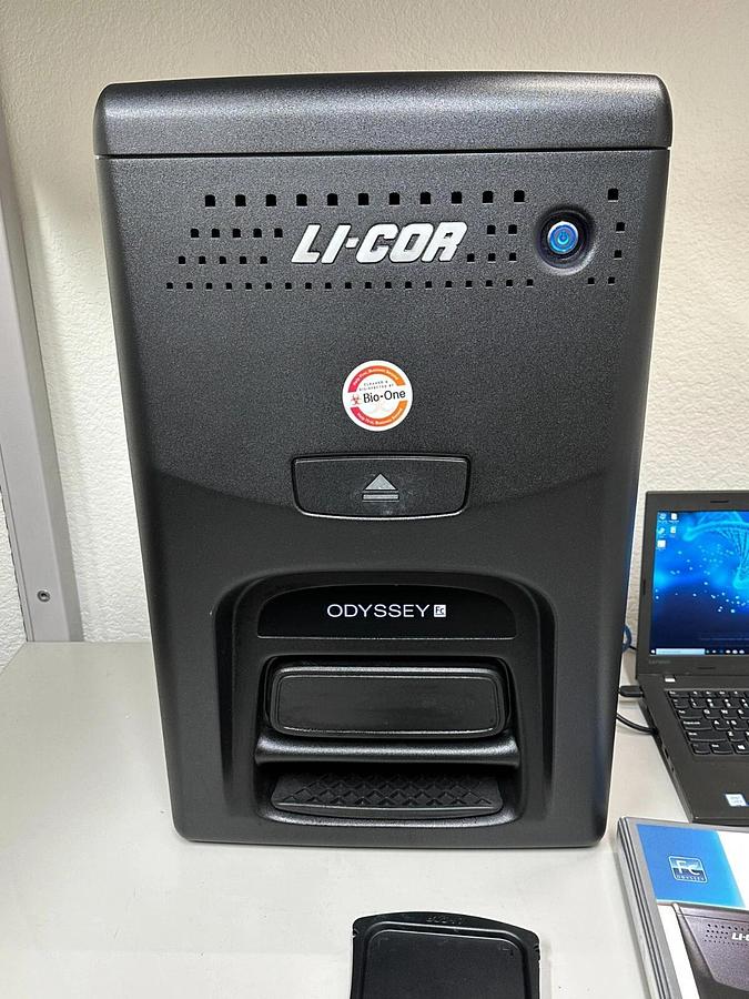 Used LI-COR Odyssey FC dual-mode Western blot Imaging System 600/700/800/Chemi