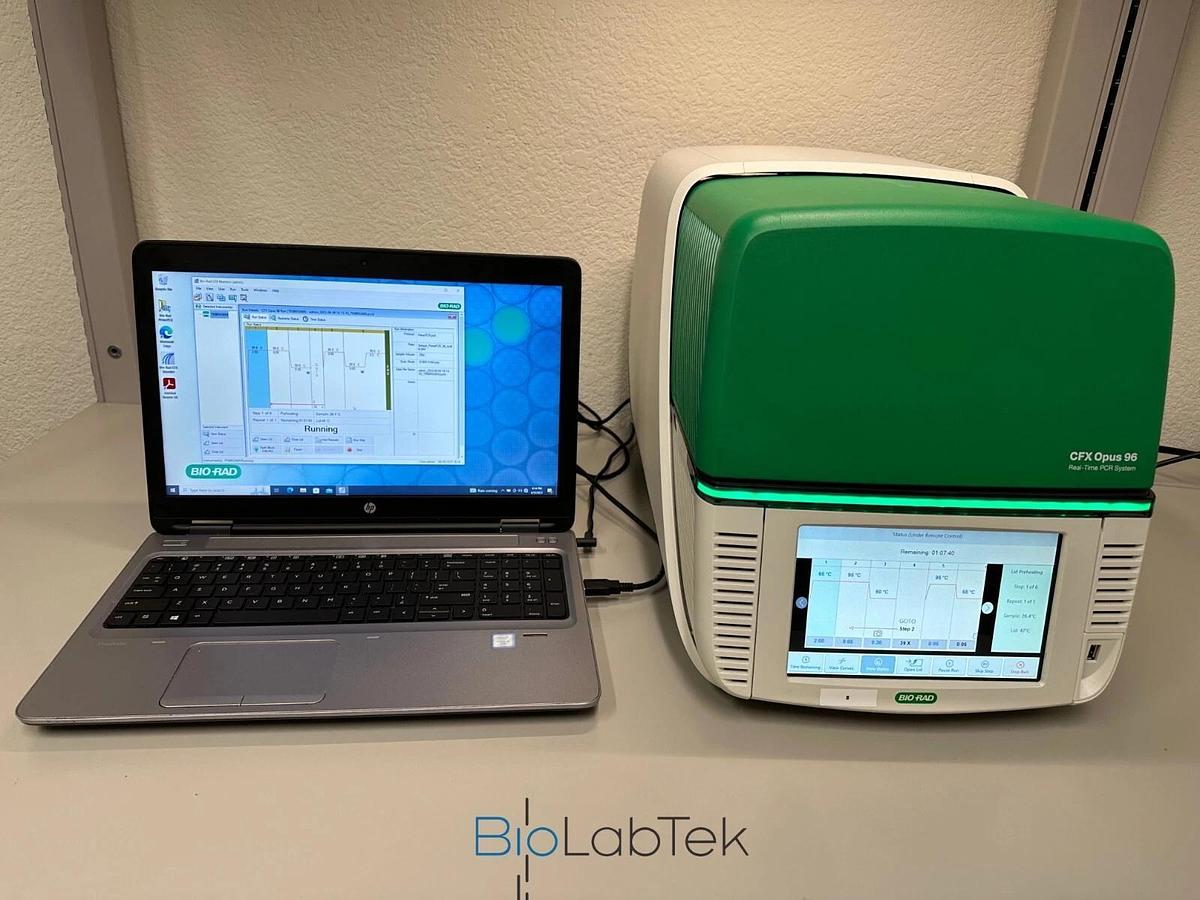 Used Bio-Rad CFX Opus 96 well Real-Time PCR System with Warranty