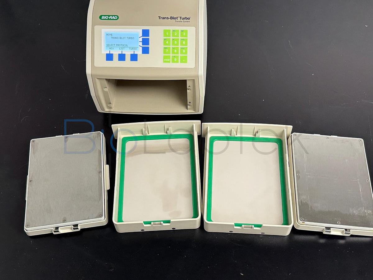 Used Bio-Rad Trans-Blot Turbo Transfer System | Semi-Dry Western Blot