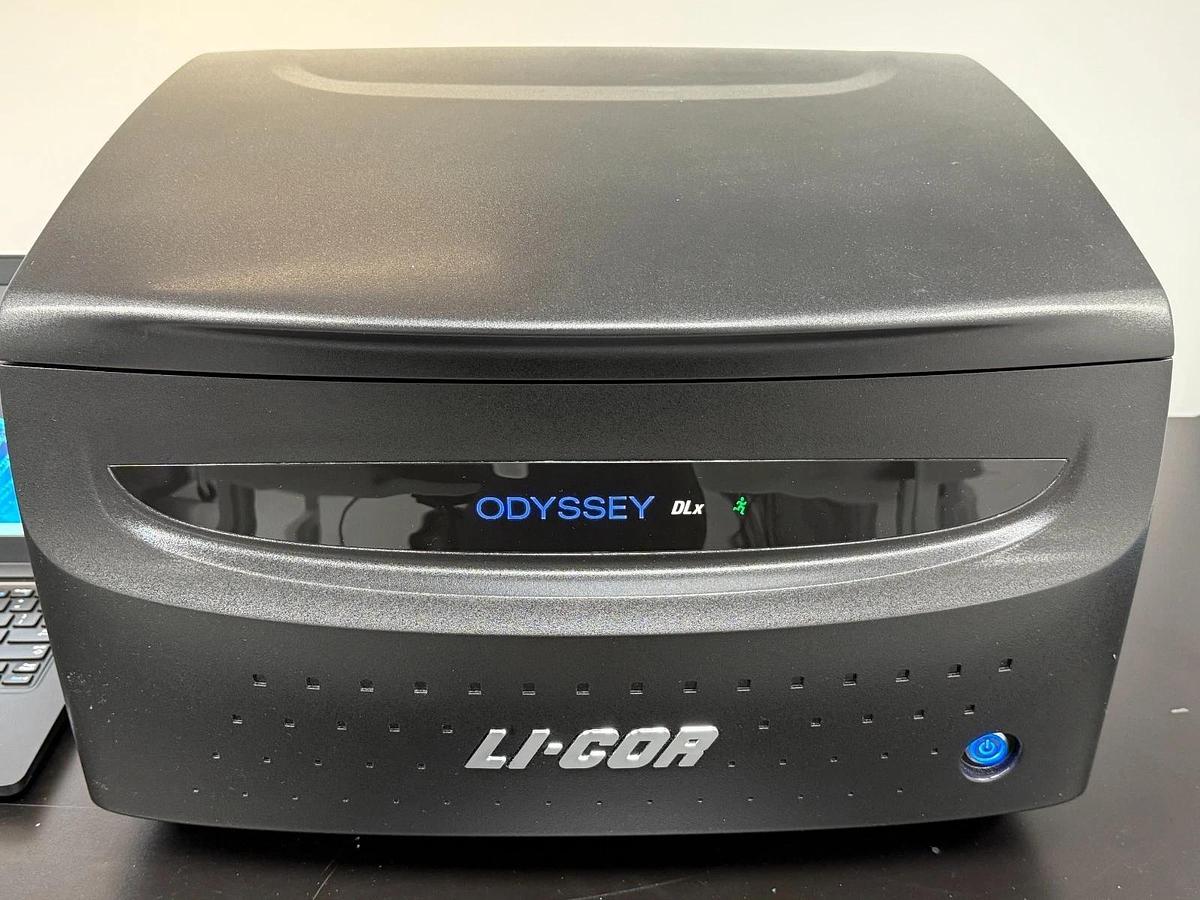 Used LI-COR Odyssey DLx Near-Infrared Fluorescence Imaging System | Western Blot