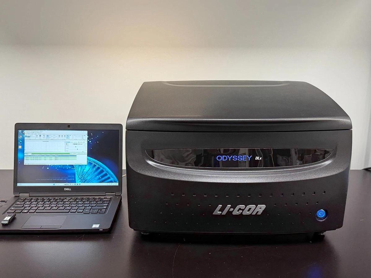 Used LI-COR Odyssey DLx Near-Infrared Fluorescence Imaging System | Western Blot