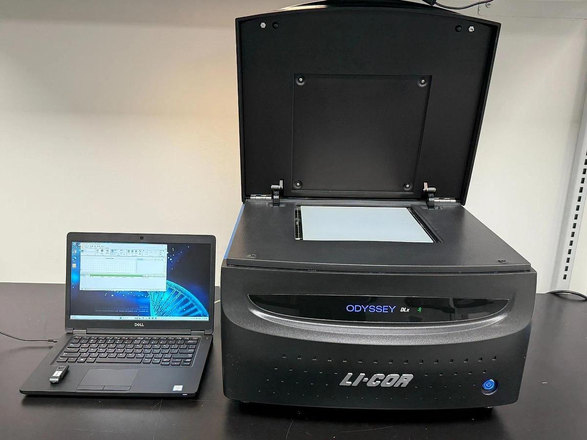 Used LI-COR Odyssey DLx Near-Infrared Fluorescence Imaging System | Western Blot