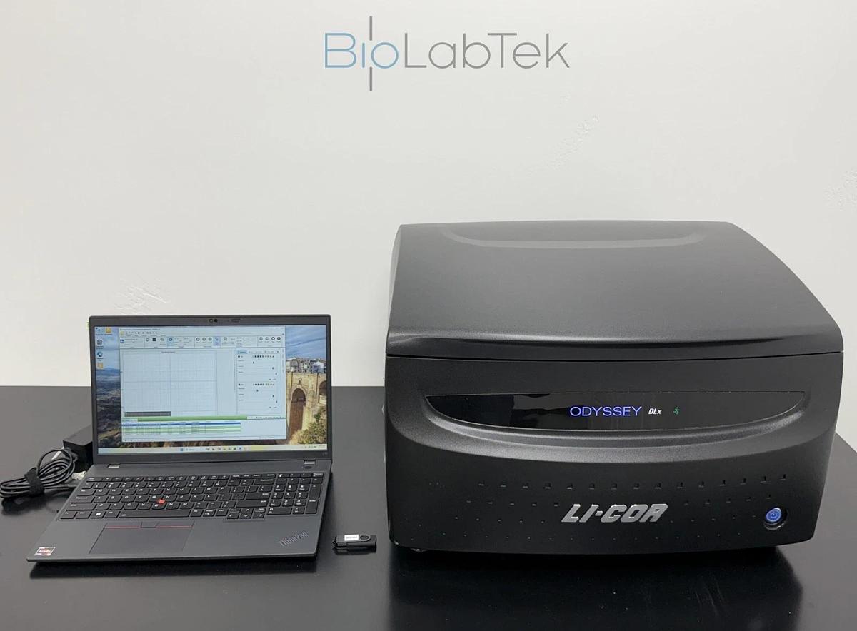 Used Li-Cor Odyssey DLx Infrared Imaging System 9142 yr.2022