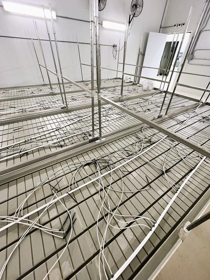 Used Rolling Vegetation Tables