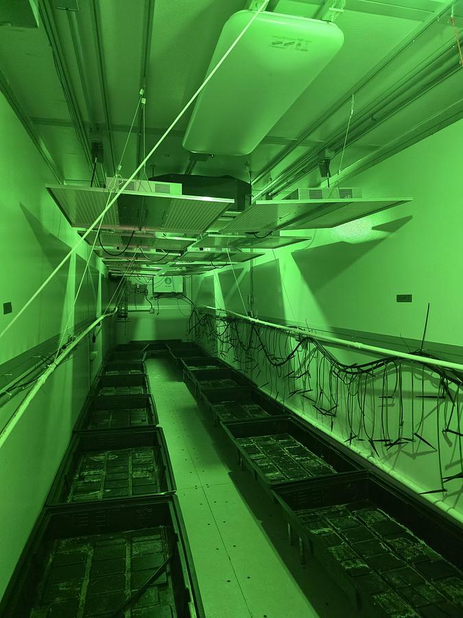 Used 40' Outdoor Grow Container/Pod Turnkey by Grow Pod Solutions