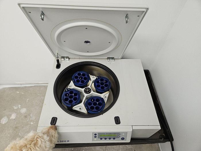 Used Eppendorf Centrifuge Model 5810r