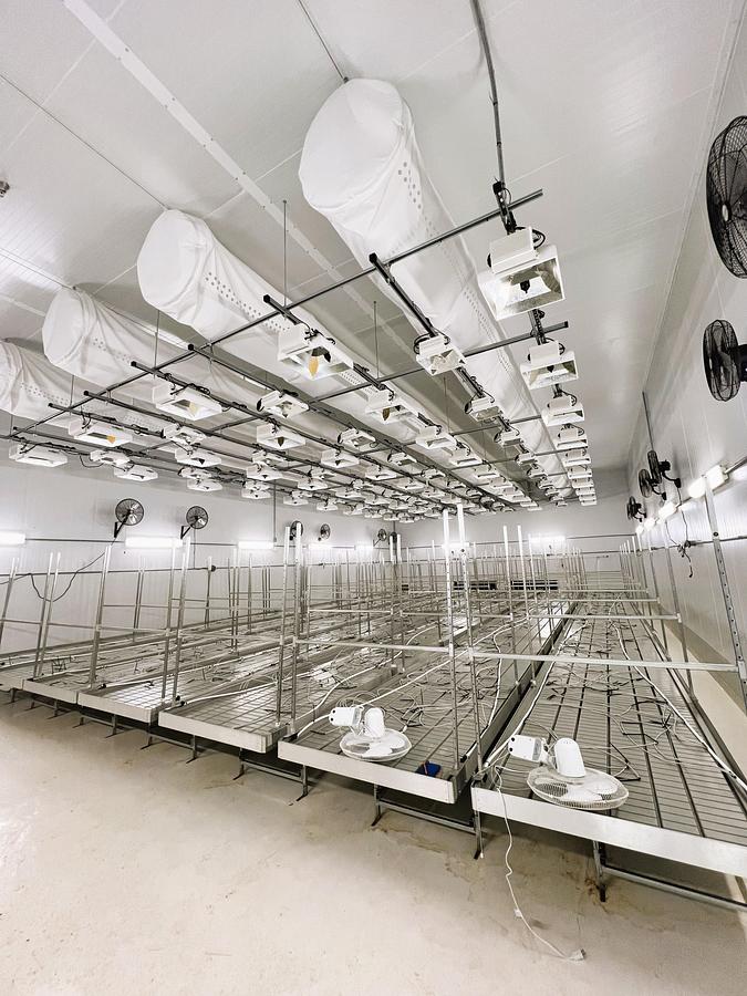 Used Rolling Vegetation Tables