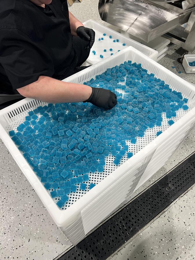 Food Grade Gummy Racks with Dolly