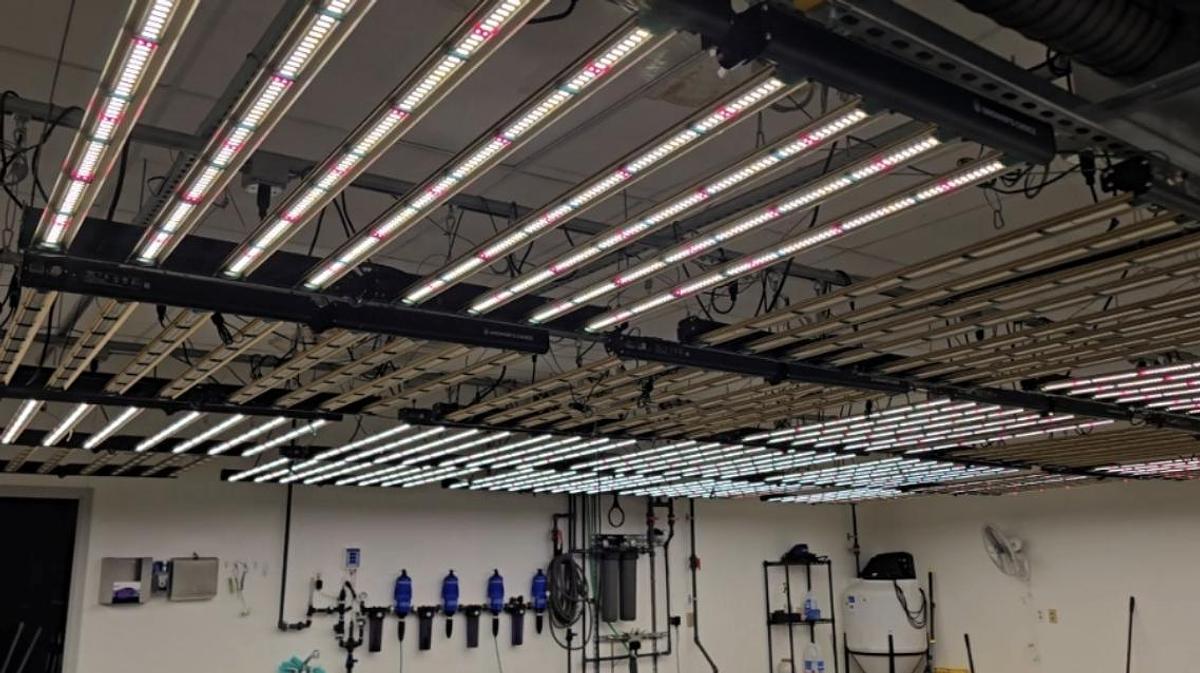 Used Grower's Choice ROI-E720 LED Grow Lights (QTY 37)