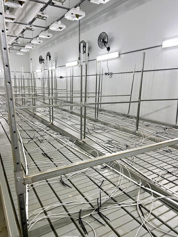 Used Rolling Vegetation Tables