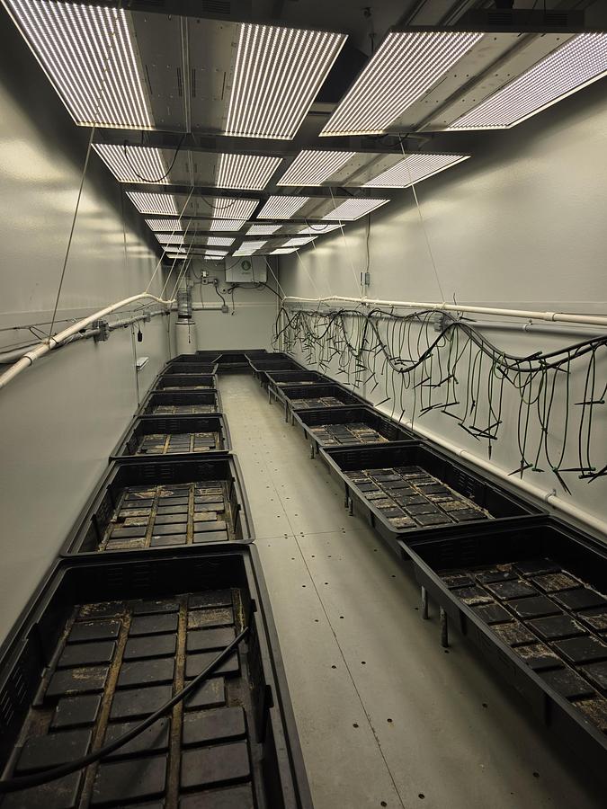 Used 40' Outdoor Grow Containers/Pods Turnkey by Grow Pod Solutions