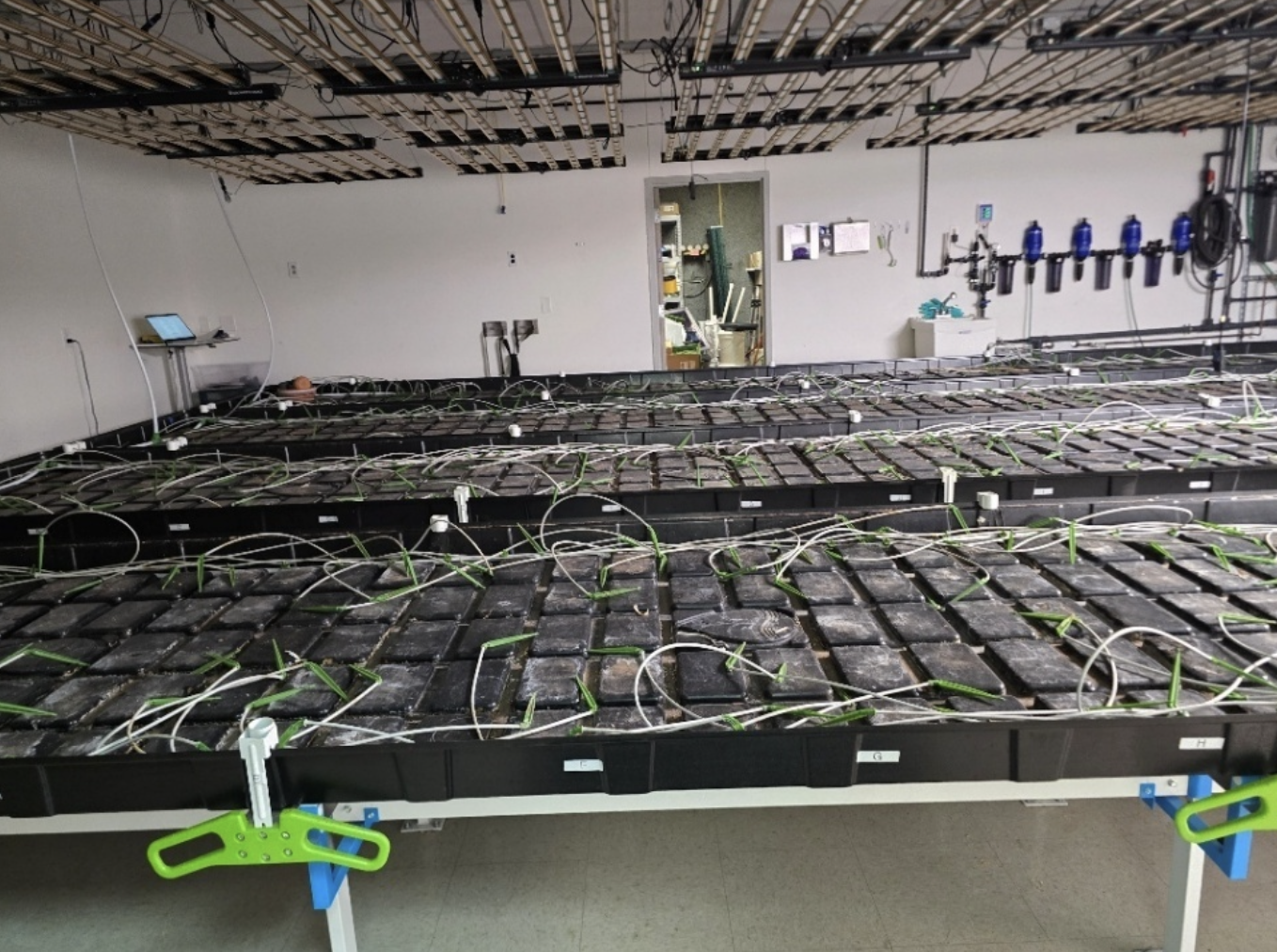 Used (4) Botanicare Slide Bench Grow Tables