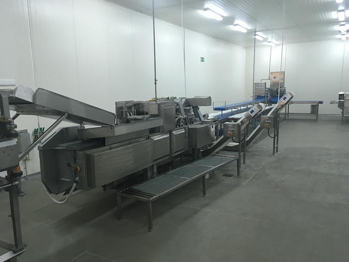 BAADER, CARNITECH, MULTIVAC, Fomaco, Salmon processing line