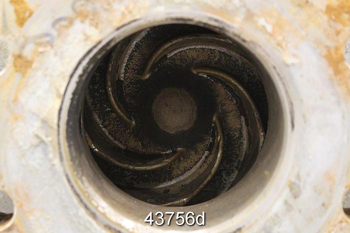 Used Goulds 3196 3x4x10 Pump, Stainless Steel Casing #43756