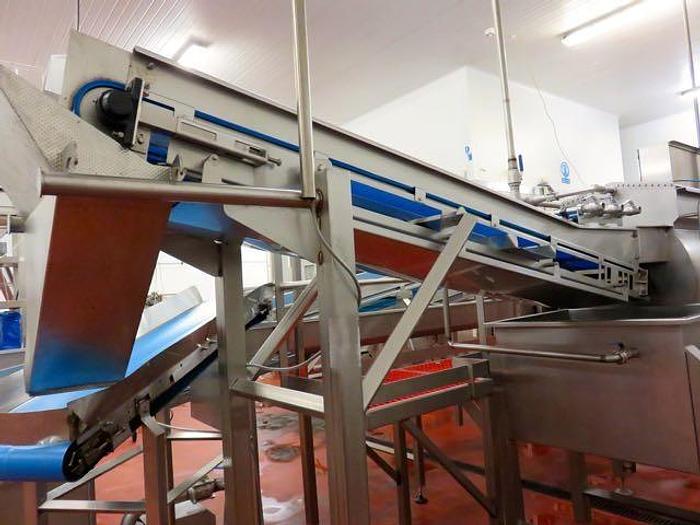 Used DUTCH TECSOURCE VEGETABLE WASHING AND STEAM BLANCHING LINE