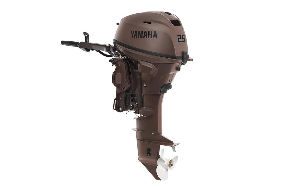 Yamaha F25SWHC-3