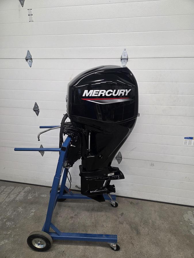 Used 2019 Mercury 60ELPT