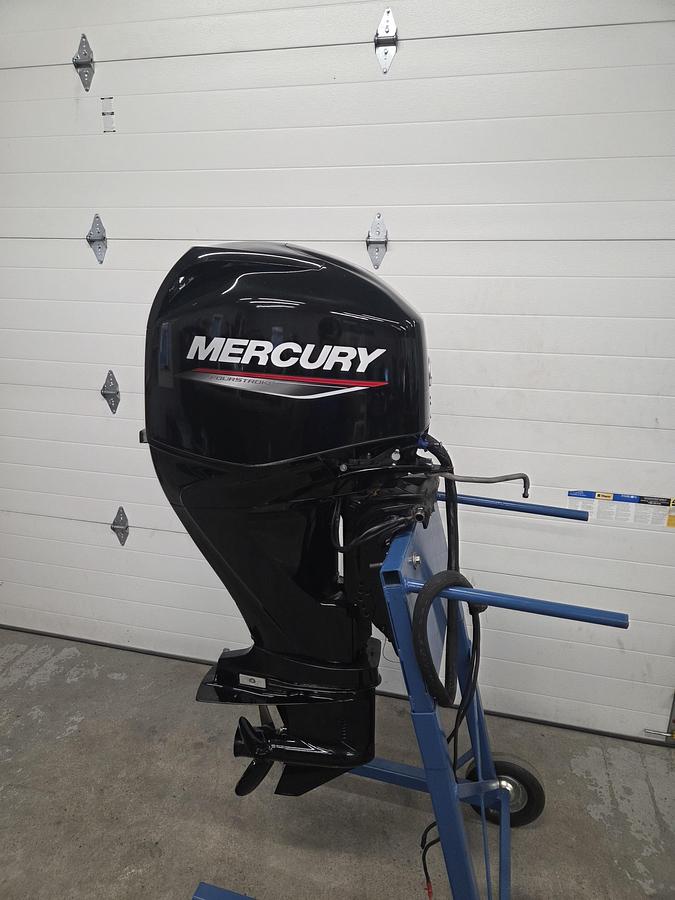 Used 2019 Mercury 60ELPT