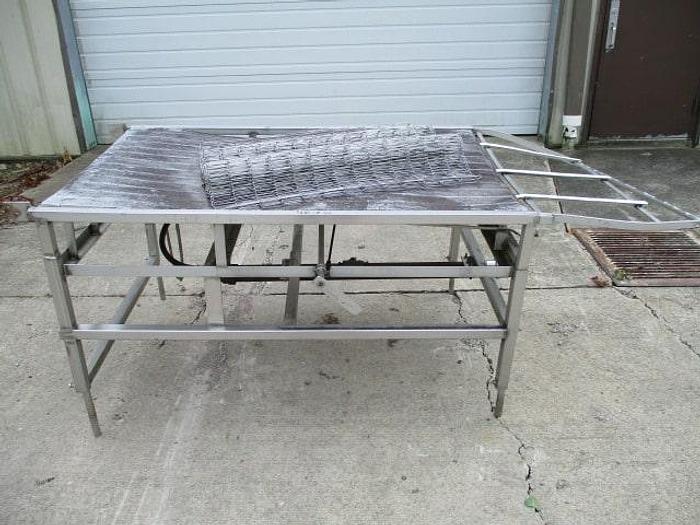 Used Custom Conveyors