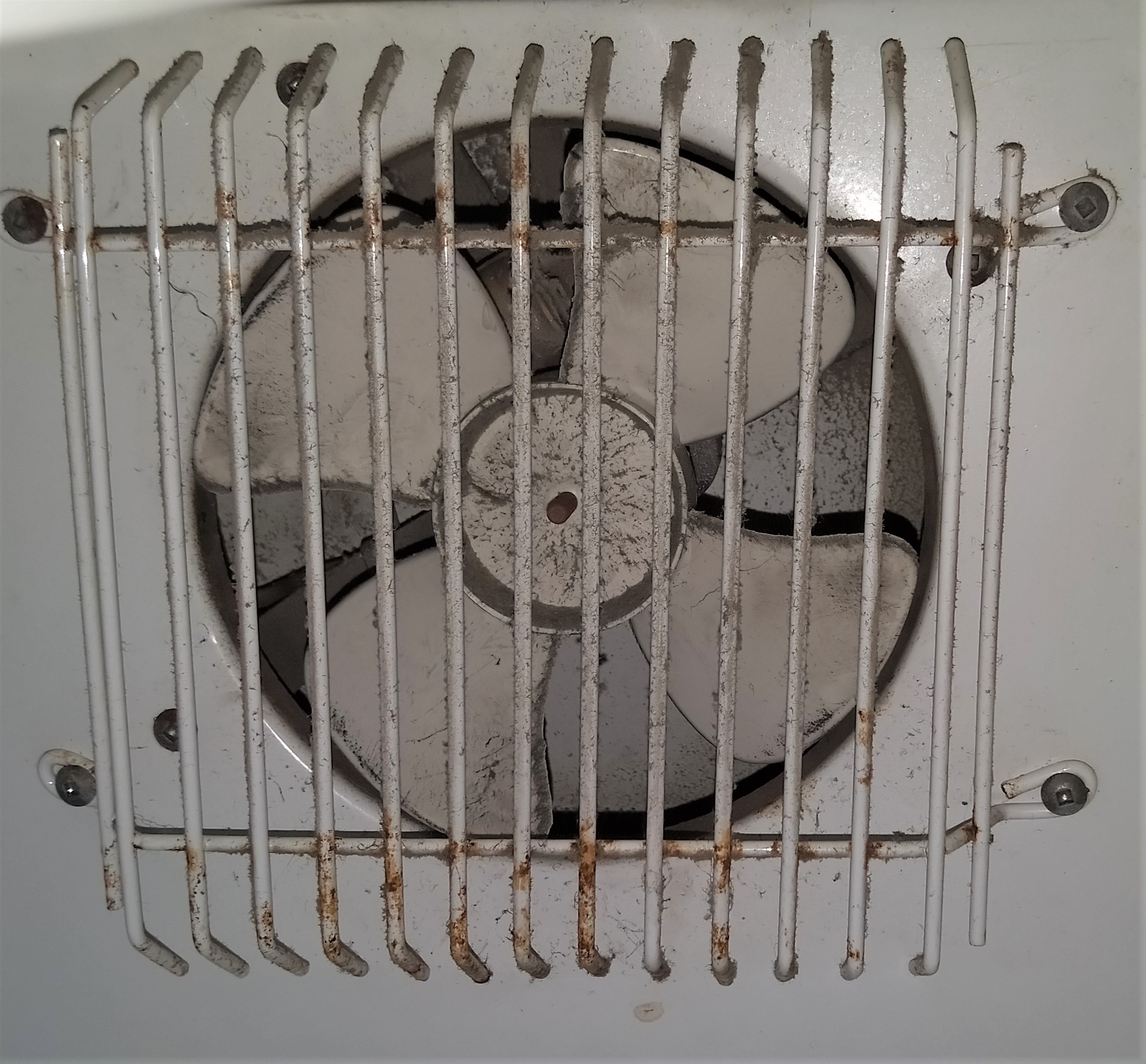 Used VWR 2-Door Refrigerator