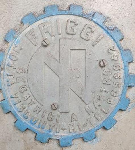 Gebruikt Seghetto Verticale Friggi Usata