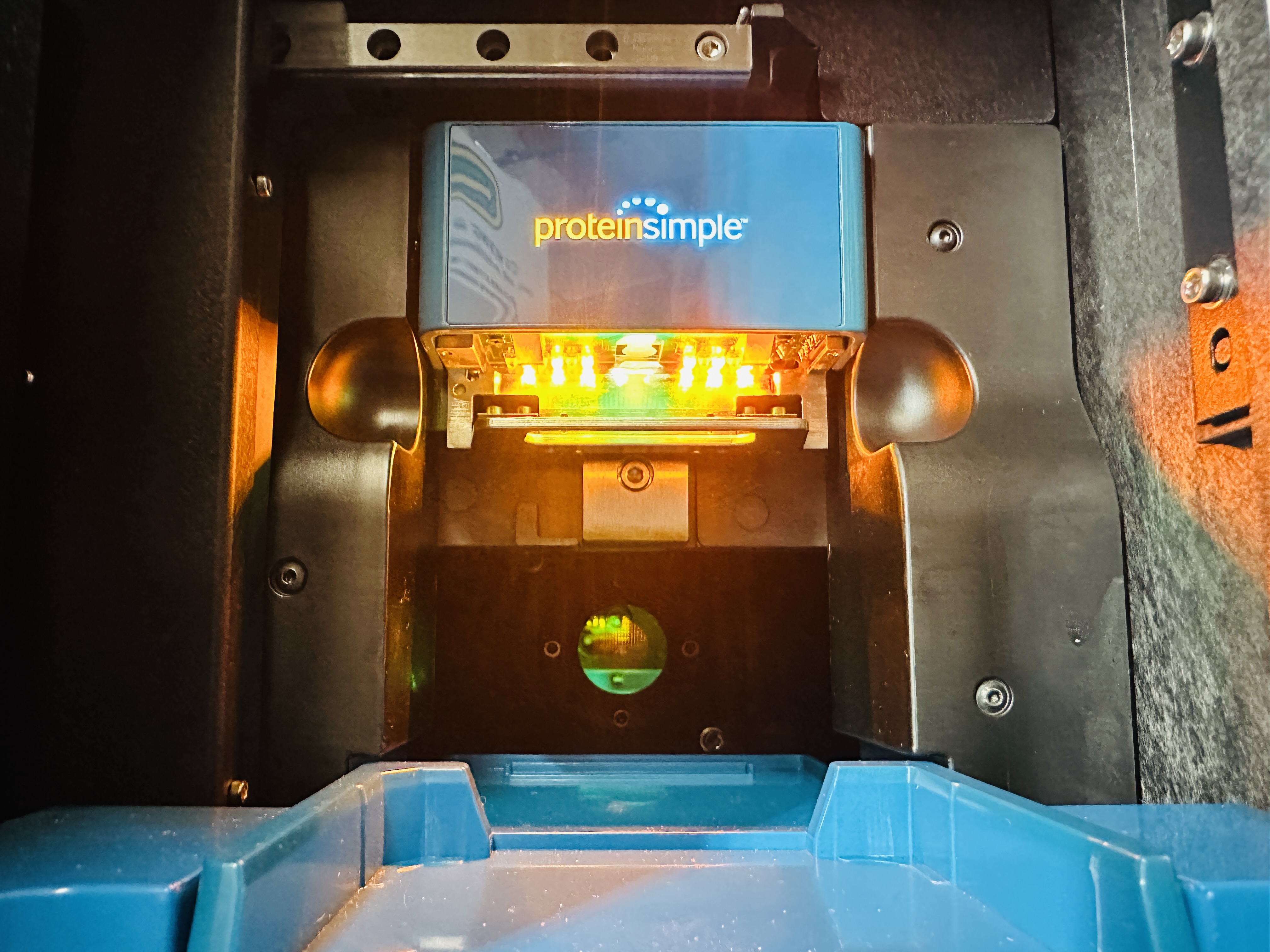 Used ProteinSimple WES Western Blot Protein Analyzer System