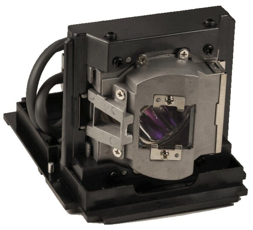 INFOCUS SP-LAMP-056 Lamp II Projector Lamp OEM NEW