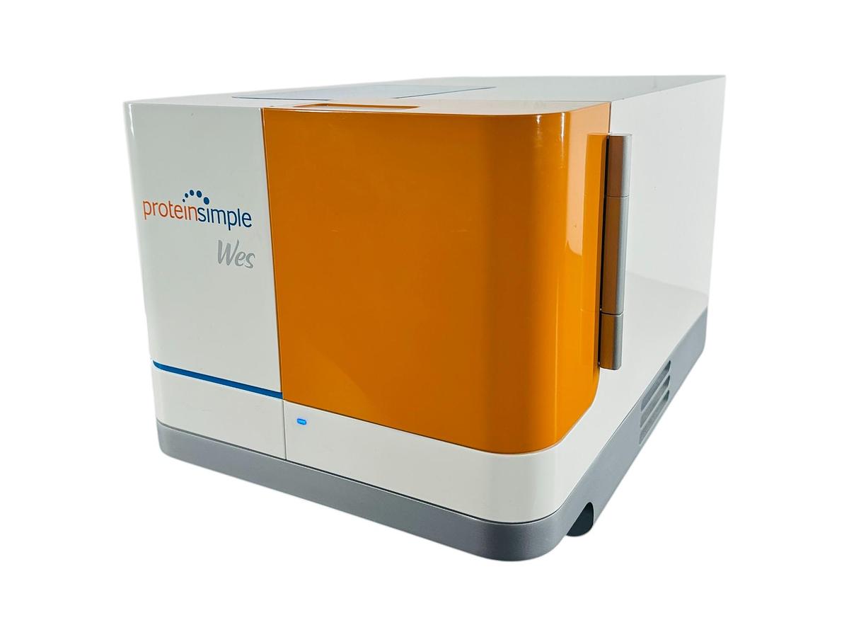 Used ProteinSimple WES Western Blot Protein Analyzer System