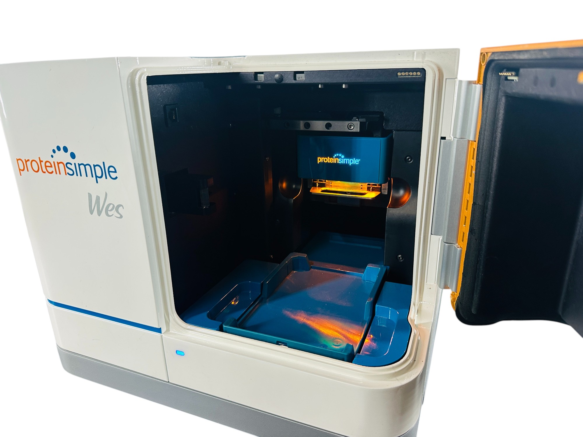 Used ProteinSimple WES Western Blot Protein Analyzer System
