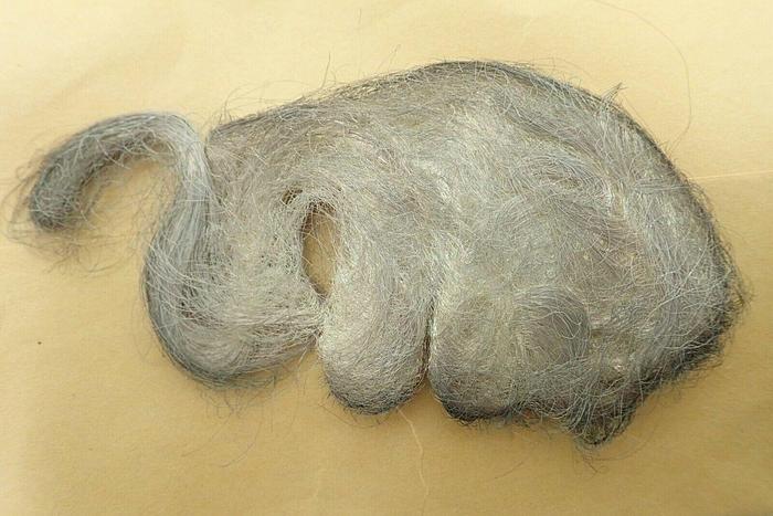 Used Lot of 6 Fisher Scientific S-163 Silver Wool, 10g, Envelope