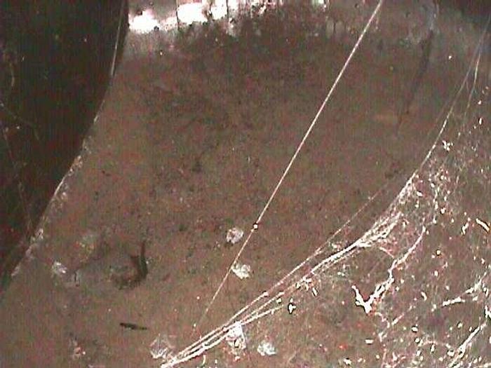 Used 1989 TAMPELLA SD50/1G #13715