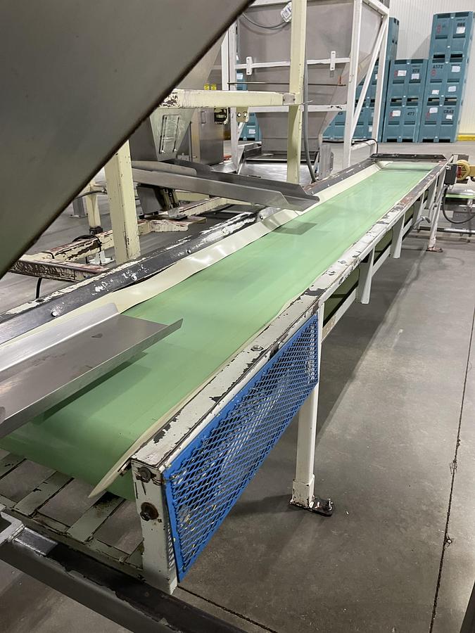 Used Walnut Sorting Line By KEY Optyx