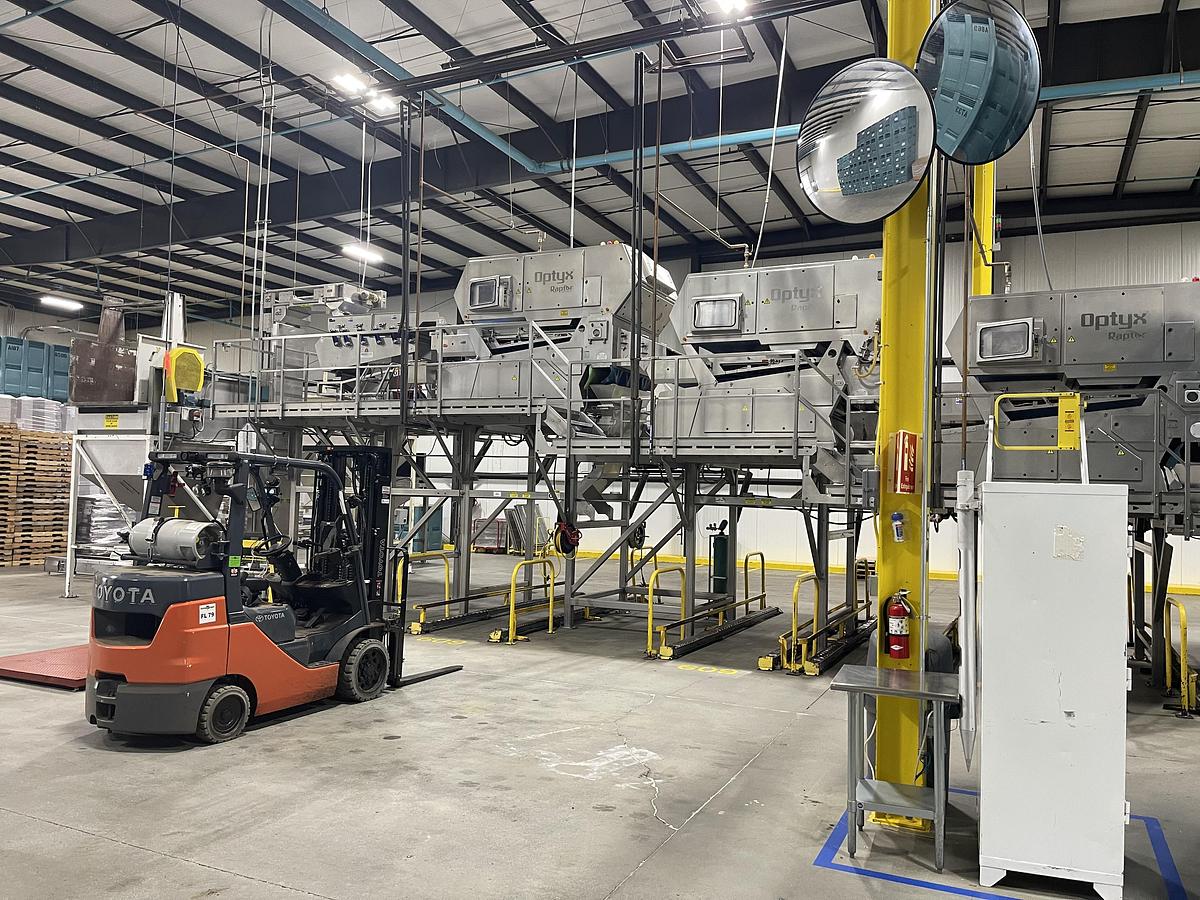 Used Walnut Sorting Line By KEY Optyx