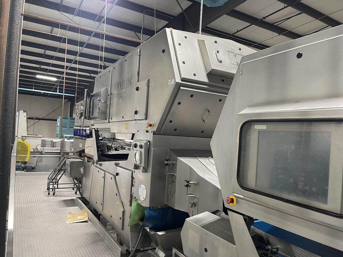 Used Walnut Sorting Line By KEY Optyx