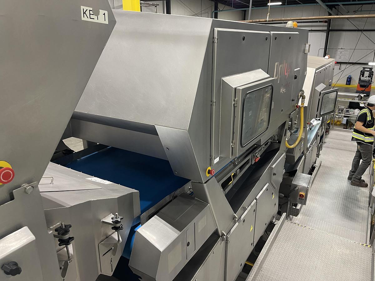 Used Walnut Sorting Line By KEY Optyx