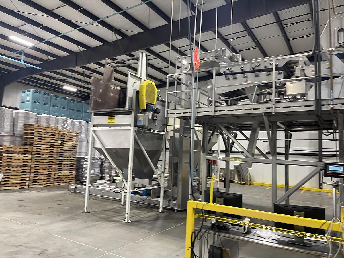 Used Walnut Sorting Line By KEY Optyx