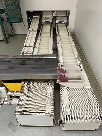 Used Almond Sorting and Packaging Line
