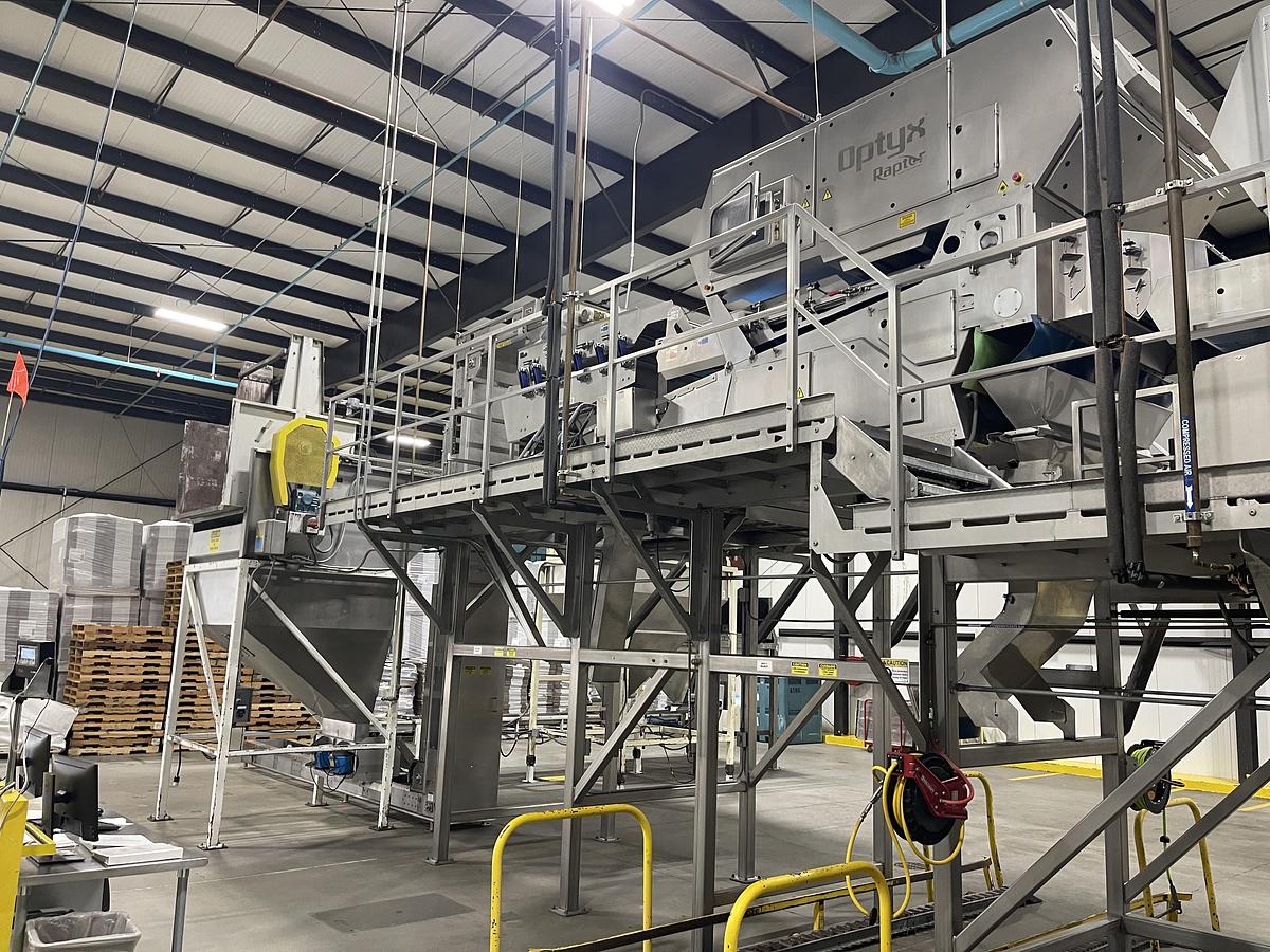 Used Walnut Sorting Line By KEY Optyx