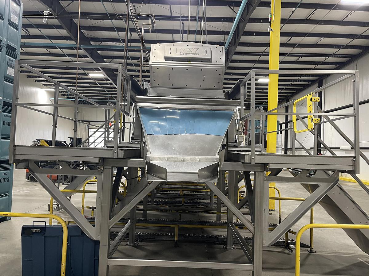 Used Walnut Sorting Line By KEY Optyx