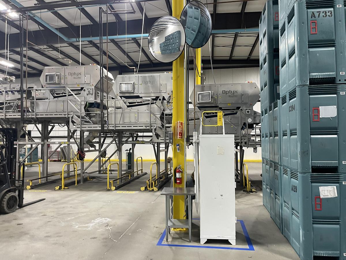 Used Walnut Sorting Line By KEY Optyx