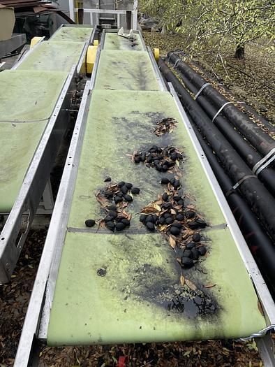 Used Midstate Sorting Belts