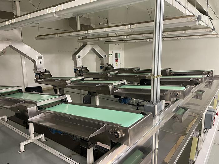 Used Almond Sorting and Packaging Line