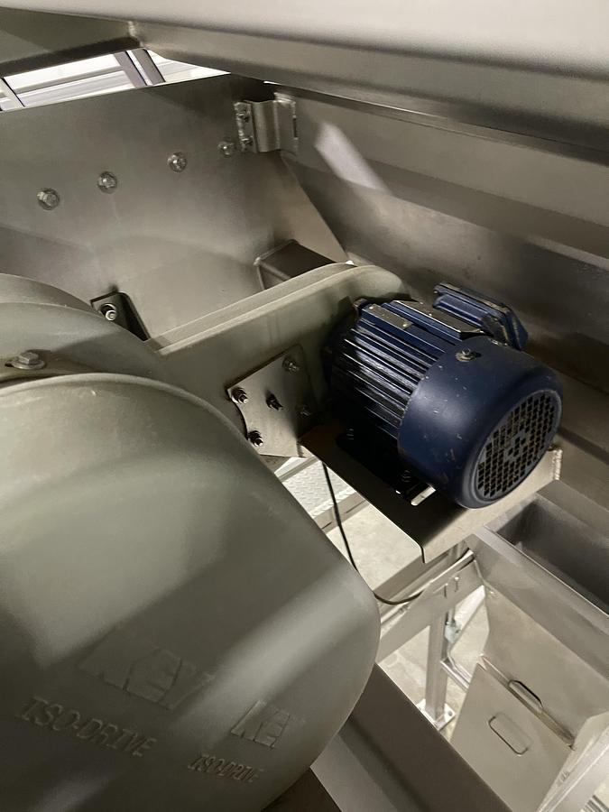 Used Walnut Sorting Line By KEY Optyx