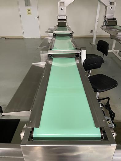 Used Almond Sorting and Packaging Line