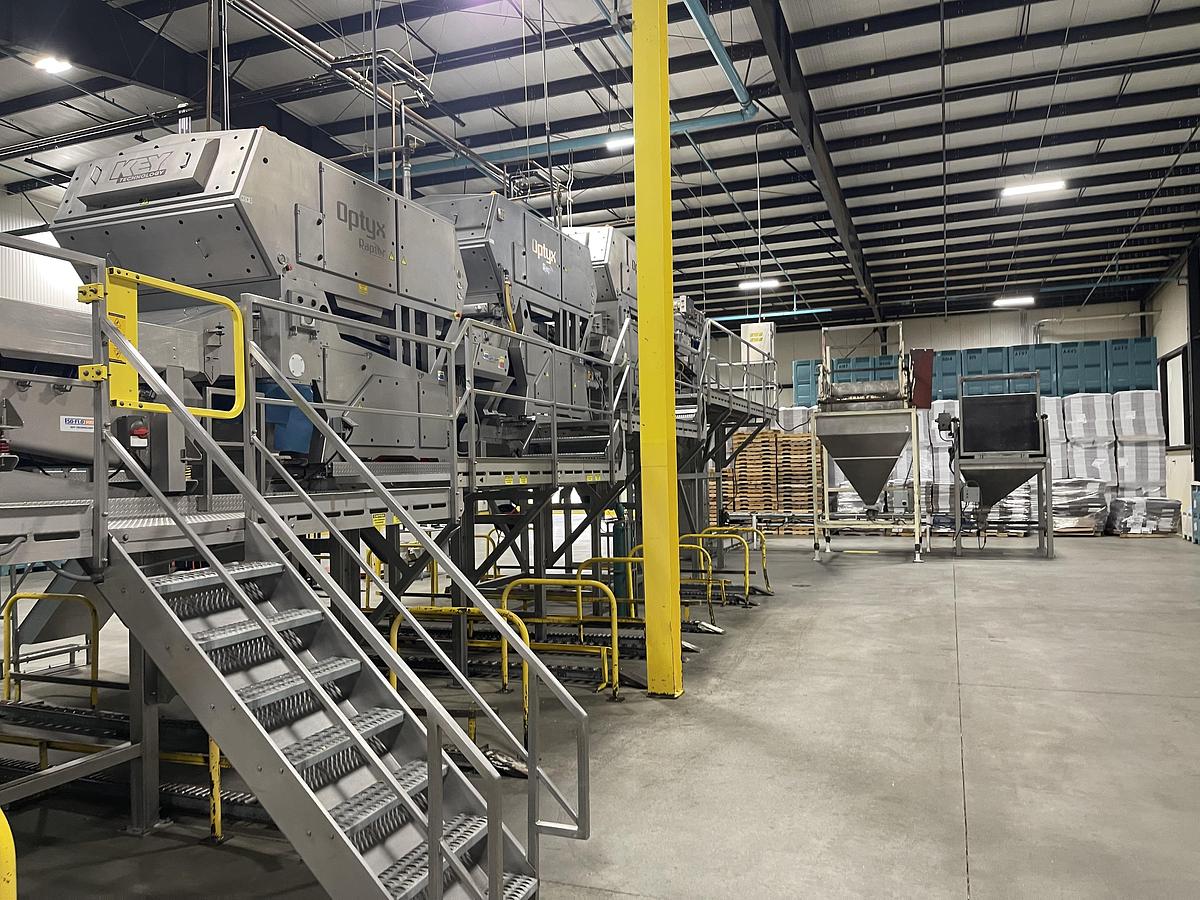 Used Walnut Sorting Line By KEY Optyx